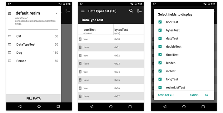 Android Realm Browser Screenshot