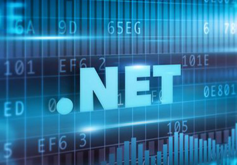 Dot net development services