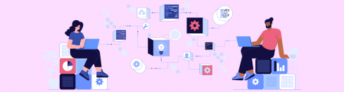 Software program Growth & Utility Selection